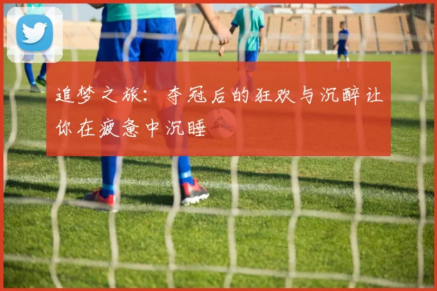 追梦之旅：夺冠后的狂欢与沉醉让你在疲惫中沉睡